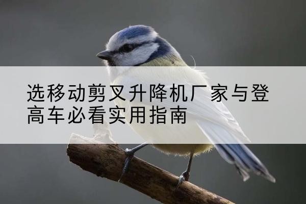 浦北电动升降机厂家-选移动剪叉升降机厂家与登高车必看实用指南