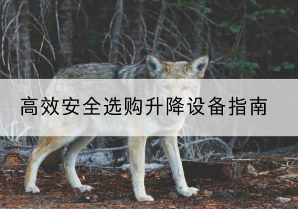浦北升降货梯厂家推荐-*安全选购升降设备指南