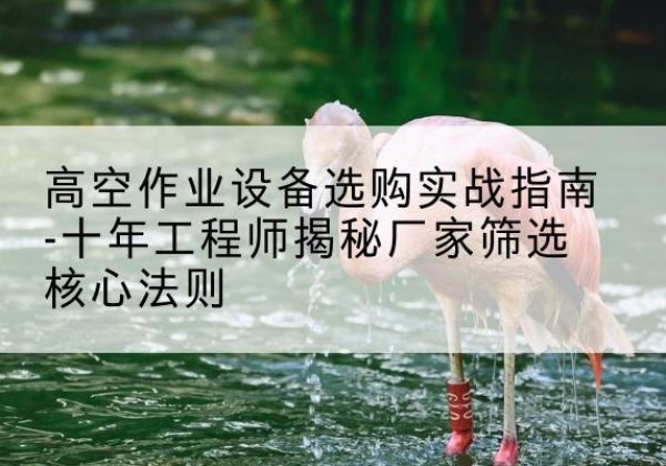 浦北剪叉式升降机厂家-高空作业设备选购实战指南-十年工程师揭秘厂家筛选核心法则